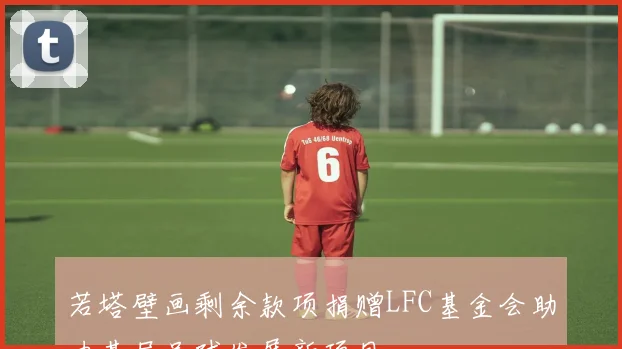 若塔壁画剩余款项捐赠LFC基金会助力基层足球发展新项目