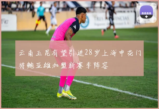 云南玉昆有望引进28岁上海申花门将鲍亚雄加盟新赛季阵容